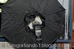 _MG_9200
