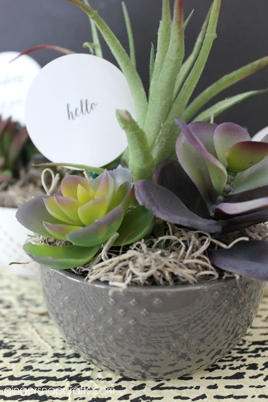 succulent gift ideas2