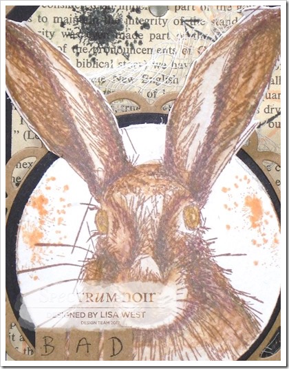 Hare (5)