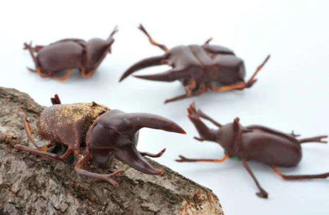 The Average Chocolate Bar Contains Eight Insect Pieces, Top 10 Amazing Facts Of The World