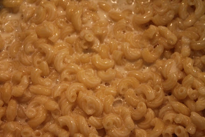 Macaroni mixed with modernist cheddar cheese sauce