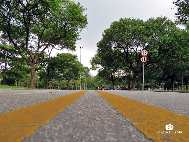 Perspectiva artística de uma das ruas internas do Parque Ibirapuera