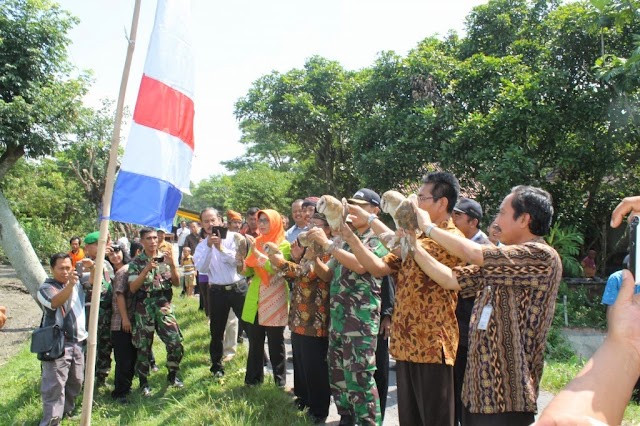 PELEPASAN BURUNG TYTO ALBA DI KEL SUKOHARJO