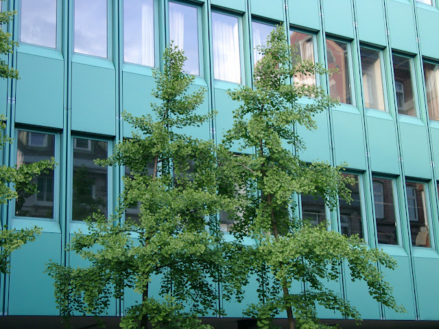 Trees against green building, Alstertwiete, Hamburg