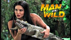 Wild - Watch This Show on Dish Network 