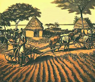 Mozambique farming 1878 photo