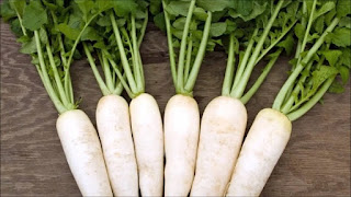 Củ cải trắng: Lợi ích từ làm đẹp đến chữa bệnh