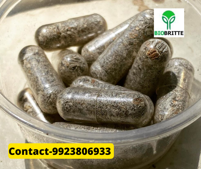 Mushroom capsules : Good for Health  | organic mushrooms | mushroom center | mushroom powder | mushroom supply | Ganoderma mushrooms