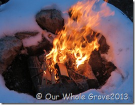 fire 1