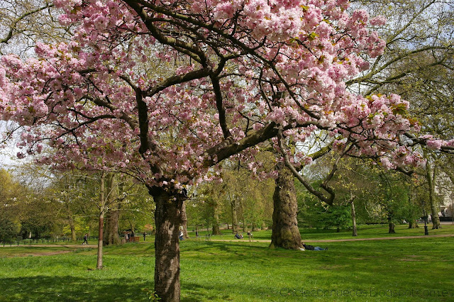 Hyde Park Londres