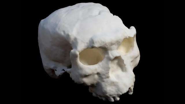 1 million years old ancient Skull discovered in China has very unusual and Devilish features.