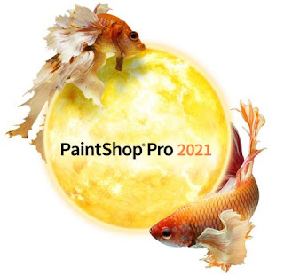 Download Corel PaintShop Pro 2021 23.1.2.21 (x64) Multilingual CRACKED