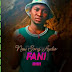 AUDIO | Swede Akili 6 - FANI | Download