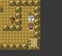 Pokemon Synergy Screenshot 09