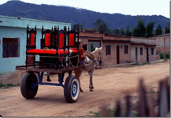 Nereo_1975c.Pitalito-Huila_RED