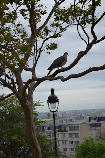 Франция,Париж,Монмартр,Сакре Кер,красивые фото.