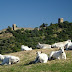 Da Pienza a Monticchiello per la strada più antica