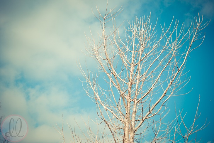 DSC_1357edit-2