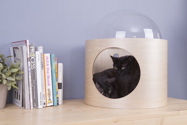 These Bizarre Cat Beds Look Like Spaceships