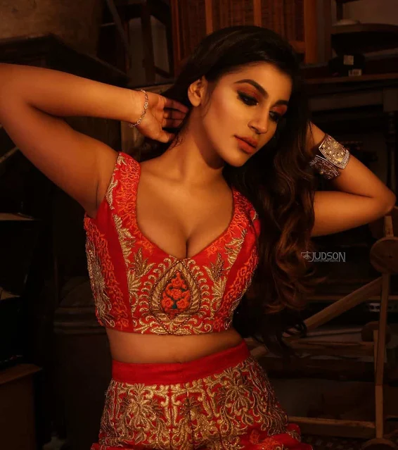 Yashika Anand Sexy Navel Photos