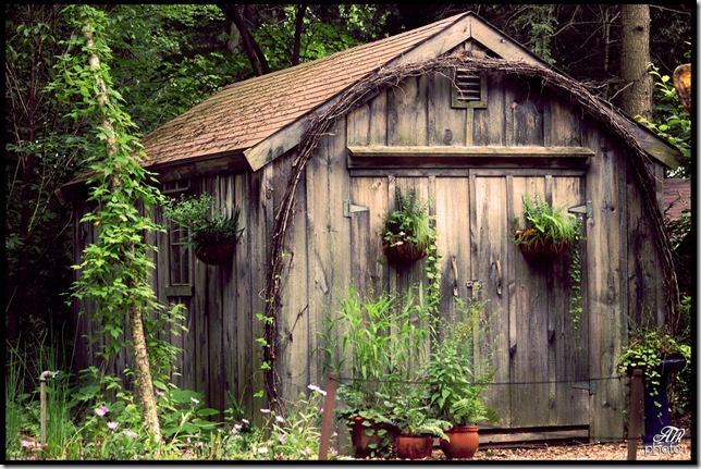 garden_shed_flickr_12