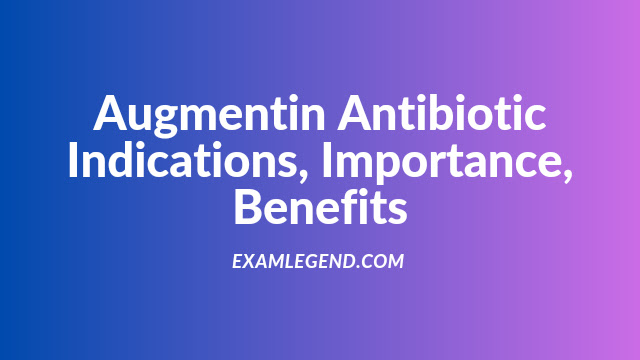 Augmentin Antibiotic Importance Benefits