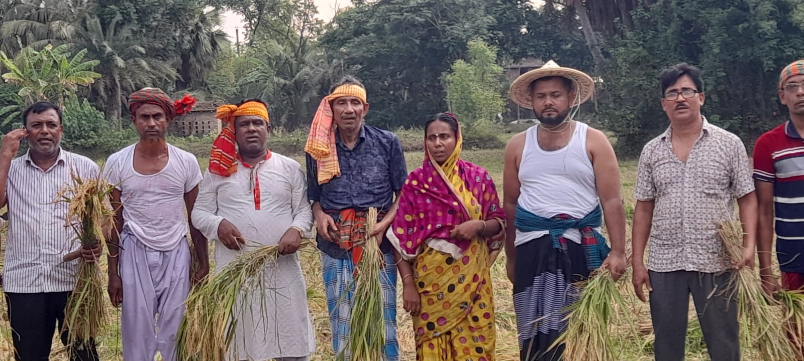 পাইকগাছায় বিধবা নারীর ধান কেটে দিলেন কৃষকলীগের নেতা-কর্মীরা    