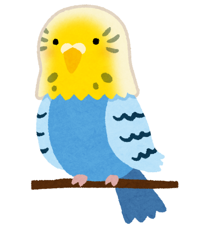 インコのイラスト 黄 青 かわいいフリー素材集 いらすとや