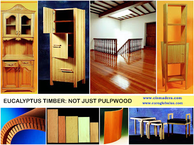 Sawn timber and furniture applications of Eucalyptus globulus wood in Galicia, Northern Spain / Aplicaciones de madera aserrada y mueble de Eucalipto globulus en Galicia, Norte de España / GIT Forestry Consulting - Consultoría y Servicios de Ingeniería Agroforestal / CIS Madera - Centro de Innovación y Servicios Tecnológicos de la Madera de Galicia