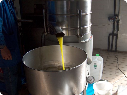 olio Centrifuga_verticale