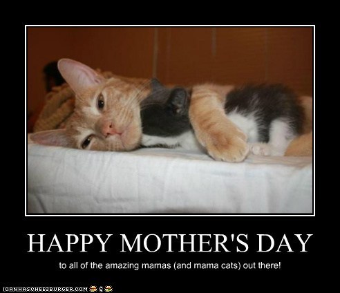 funny-pictures-happy-mothers-day.jpg