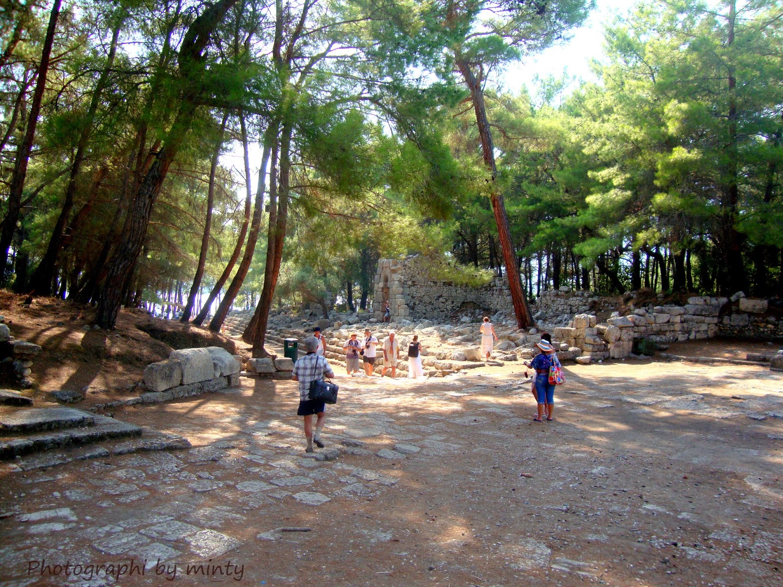 phaselis 13