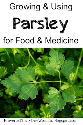 How to Grow and Use Parsley for Medicine and Food