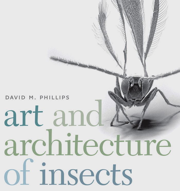 1 Art And Architecture Of Insects