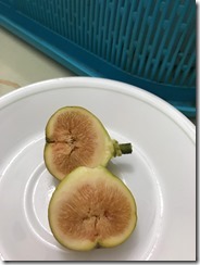 buah noid1