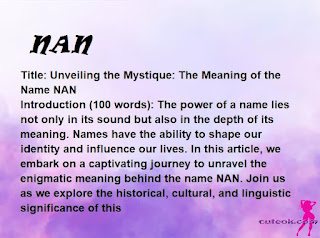 meaning of the name "NAN"