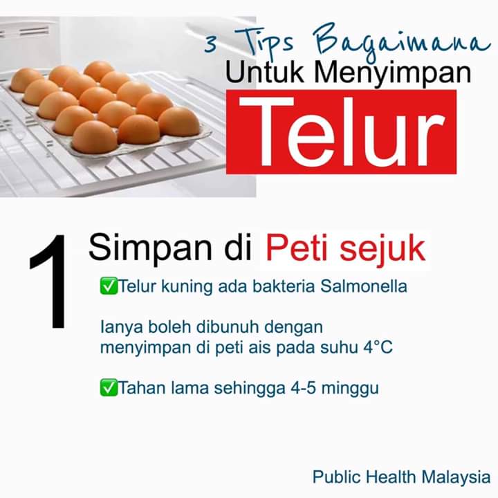 3 Cara Yang BETUL Simpan Telur