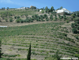 cruzeiro no douro 7 de setembro 2008