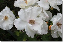 071