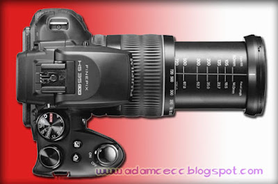 cara menentukan kamera dslr untuk pemula yang cantik Tips Memilih Kamera DSLR Untuk Pemula Terbaik