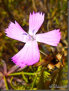 P1170312