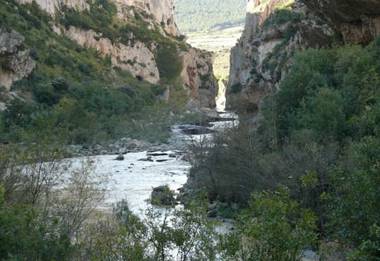 LUMBIER 2013 014