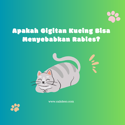 digigit kucing sampai berlubang obat tradisional digigit kucing tangan pegal setelah digigit kucing