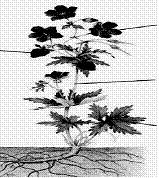clip_image010