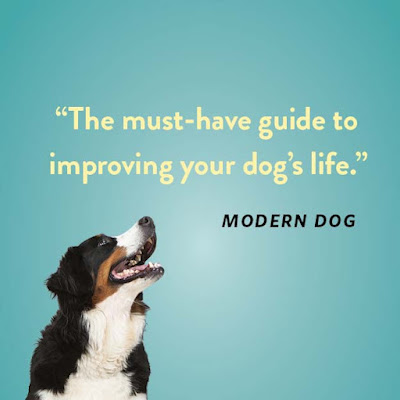 Wag is the must-have guide to improving your dog's life; and a photo of a Bernese Mountain Dog