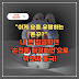 "이게 요즘 유행하는 폰꾸?" 내 폰 잠금화면, '손전등 배경화면'으로 핵인싸 등극!