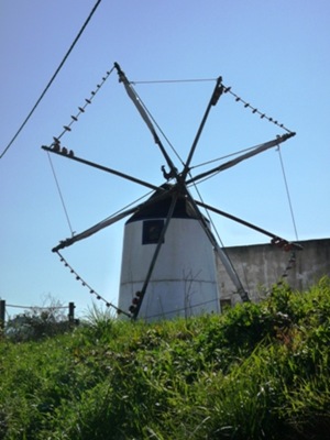 P1000365