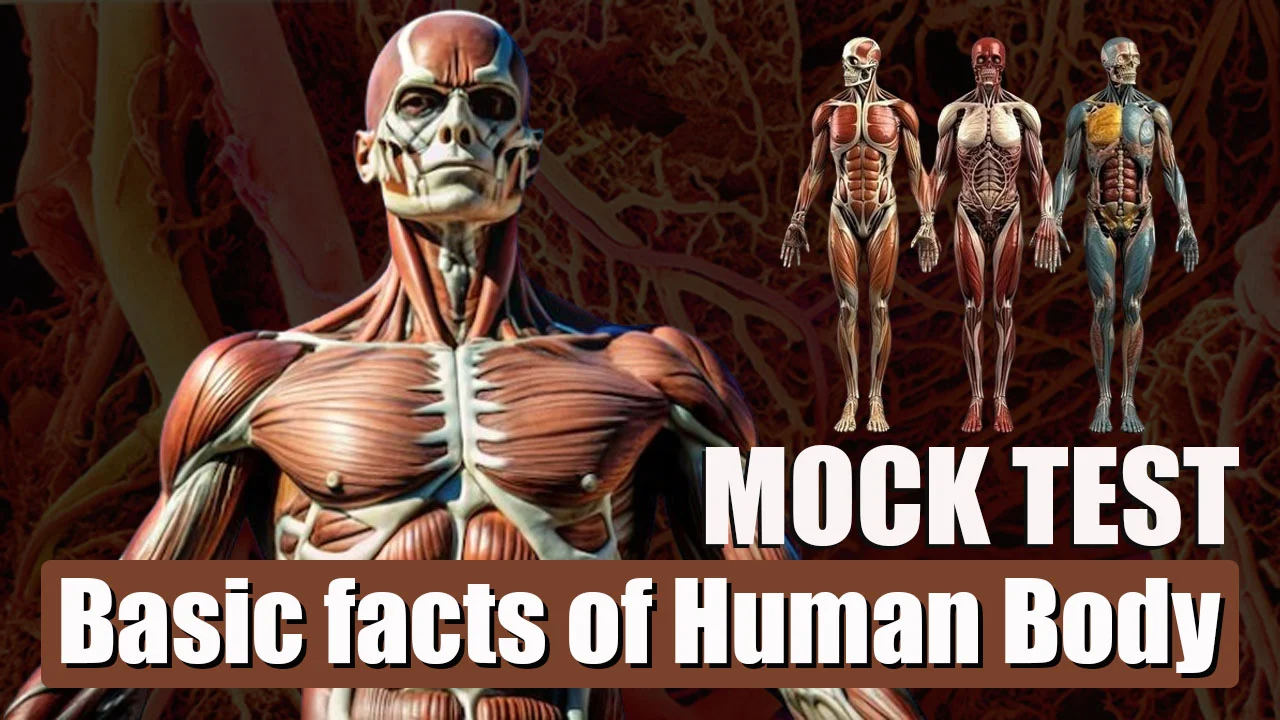Life Science and Public Health: Basic Facts about the Human Body | Mock Test