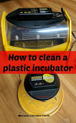 Cleaning an incubator
