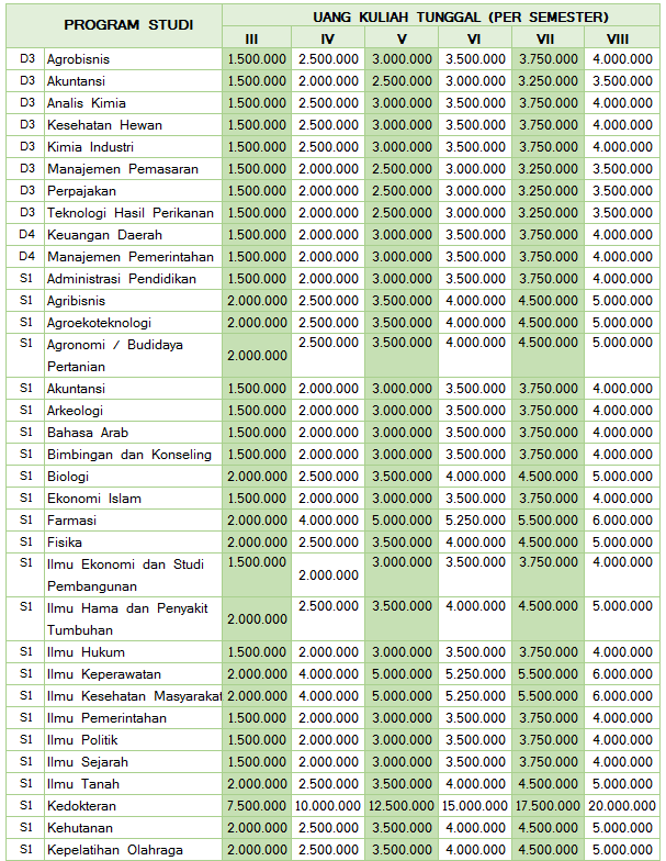 Tabel UKT UNJA 2023 - Jalur SNBP dan SNBT